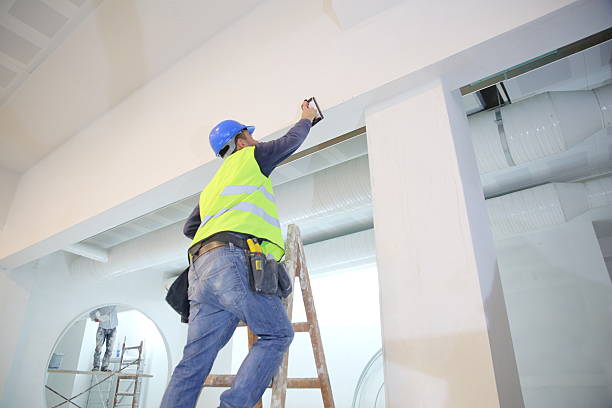 Best Comprehensive Air Testing for Mold Contaminants  in Latta, SC